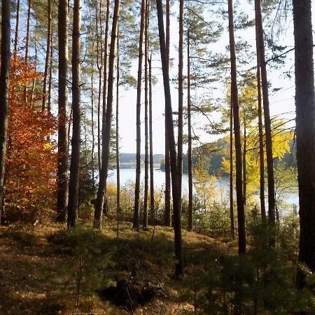 Vila Rozinka Lipno Lipno nad Vltavou Exterior photo
