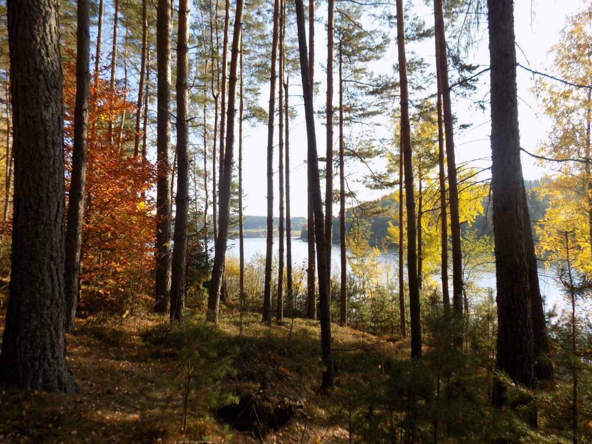 Rozinka Lipno Holiday home